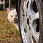 ストーカーのタイプとその対処法