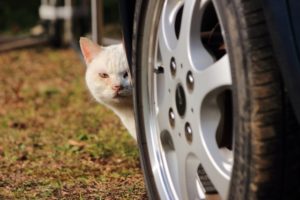 ストーカーのタイプとその対処法