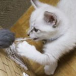 ストーカーを捕まえるためにあなたができる３つの方法