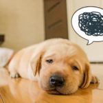 家族・親族編【嫌がらせ実例】